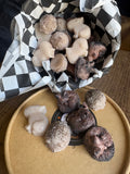 Animal Shape Scoopies